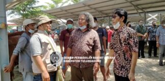 Asrori berdialog dengan pedagang saat sidak Komisi C di PHT, Kamis (6/1).