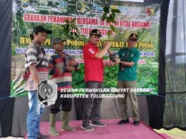Marsono menyerahkan bibit pohon untuk ditanam bersama di Bukit Niyama, Rabu (7/12).